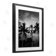 Carol Robinson | Palm Tree Coast Photograph