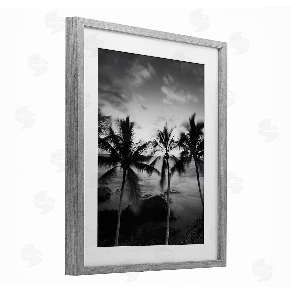 Carol Robinson Palm Tree Coast Photograph Canvas Wall Art Print