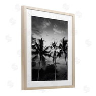 Carol Robinson | Palm Tree Coast Photograph