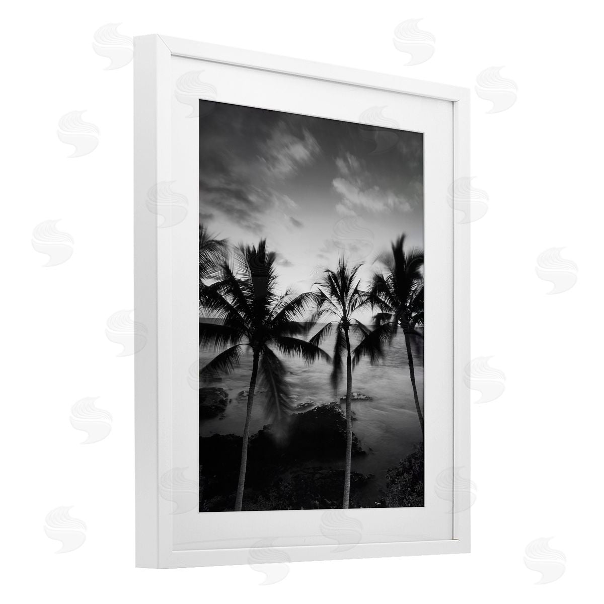 Carol Robinson Palm Tree Coast Photograph Canvas Wall Art Print