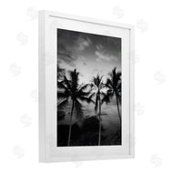 Carol Robinson | Palm Tree Coast Photograph