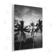 Carol Robinson | Palm Tree Coast Photograph