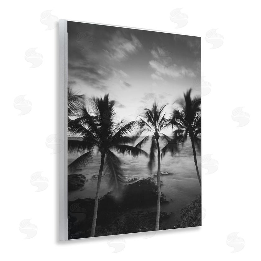 Carol Robinson | Palm Tree Coast Photograph