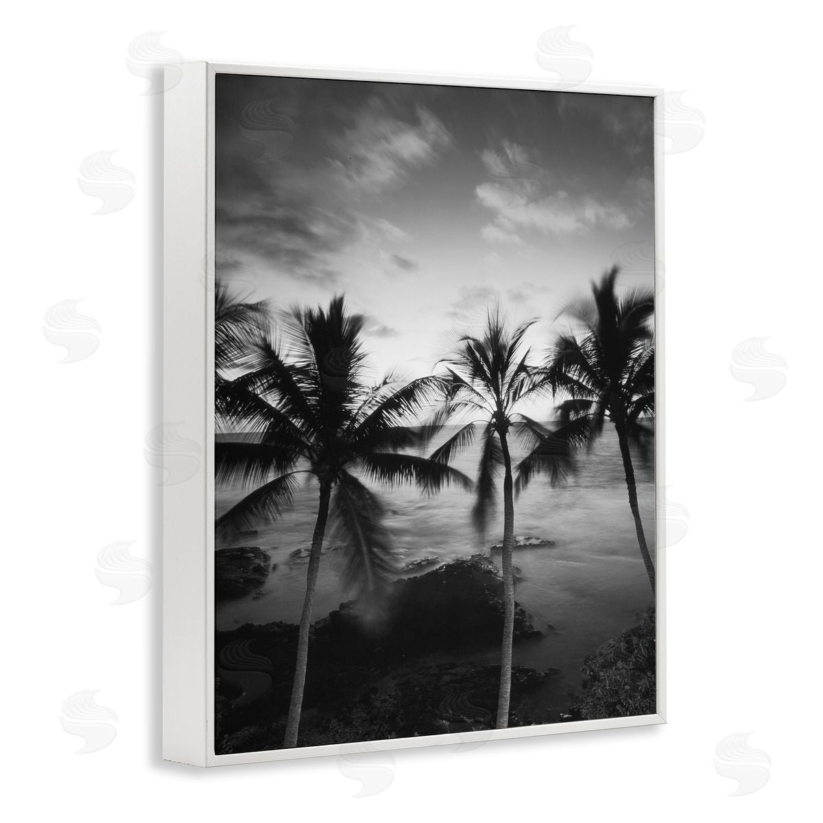 Carol Robinson Palm Tree Coast Photograph Canvas Wall Art Print