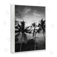 Carol Robinson | Palm Tree Coast Photograph