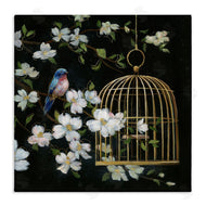 Nan | Evening Song Birdcage over Black