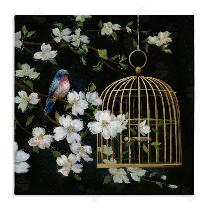 Nan | Evening Song Birdcage over Black