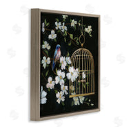 Nan | Evening Song Birdcage over Black