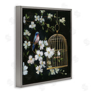 Nan | Evening Song Birdcage over Black
