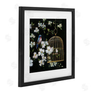 Nan | Evening Song Birdcage over Black
