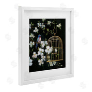 Nan | Evening Song Birdcage over Black