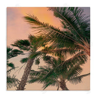Susan Jill | Gathering Palms at Sunset