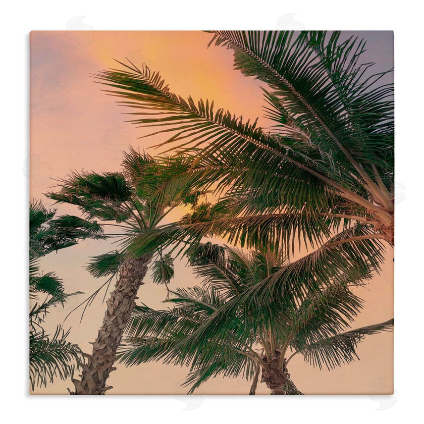 Susan Jill | Gathering Palms at Sunset
