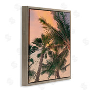 Susan Jill | Gathering Palms at Sunset