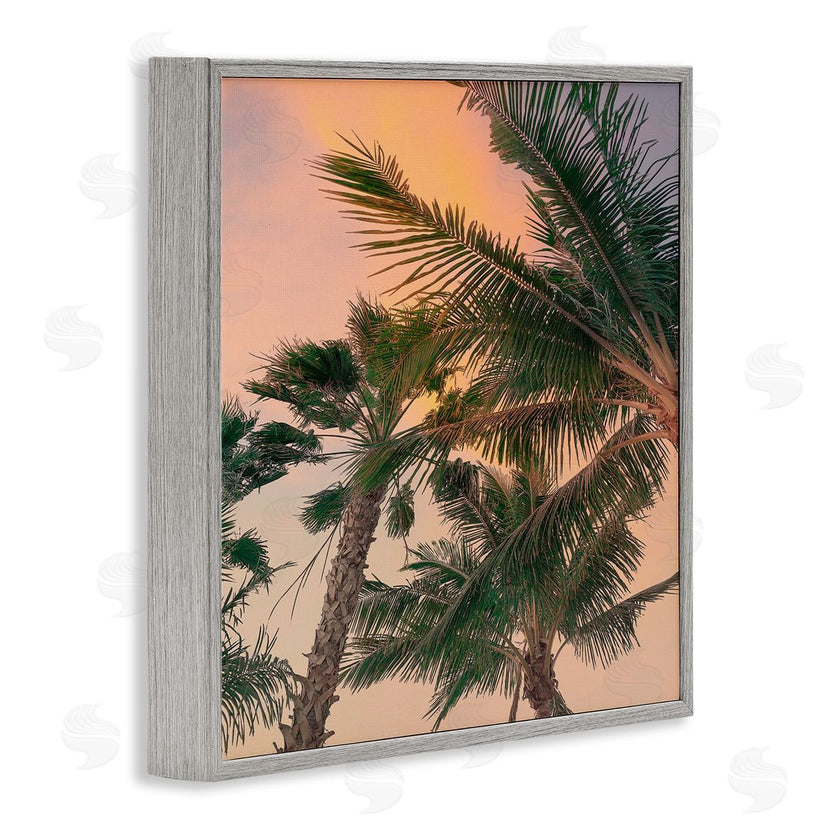Susan Jill | Gathering Palms at Sunset