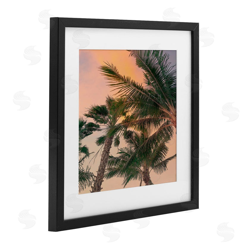 Susan Jill | Gathering Palms at Sunset