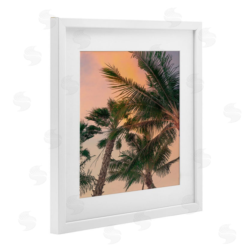 Susan Jill | Gathering Palms at Sunset