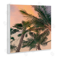 Susan Jill | Gathering Palms at Sunset