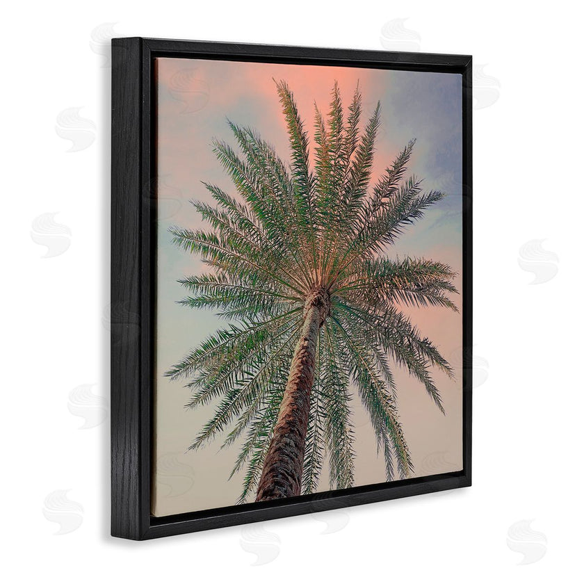 Susan Jill | Palm Up Against Sunset