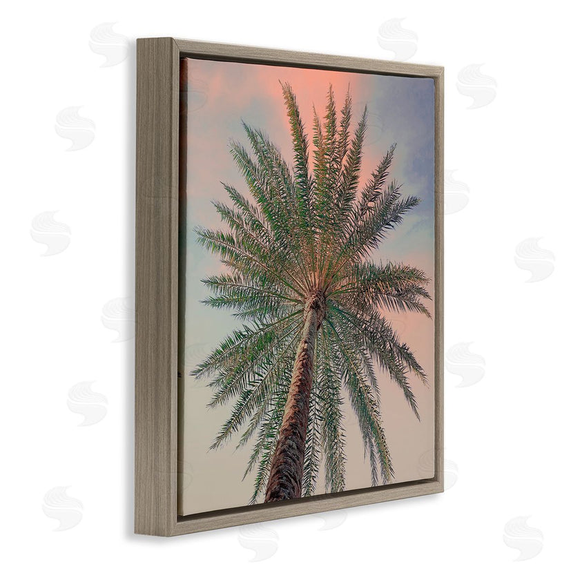 Susan Jill | Palm Up Against Sunset