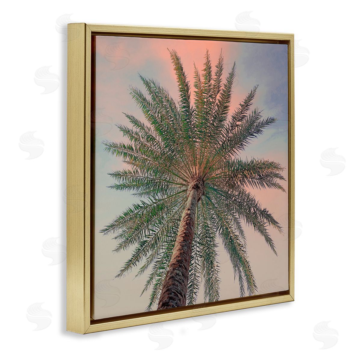 Susan Jill Palm Up Against Sunset Canvas Wall Art Print
