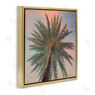 Susan Jill | Palm Up Against Sunset