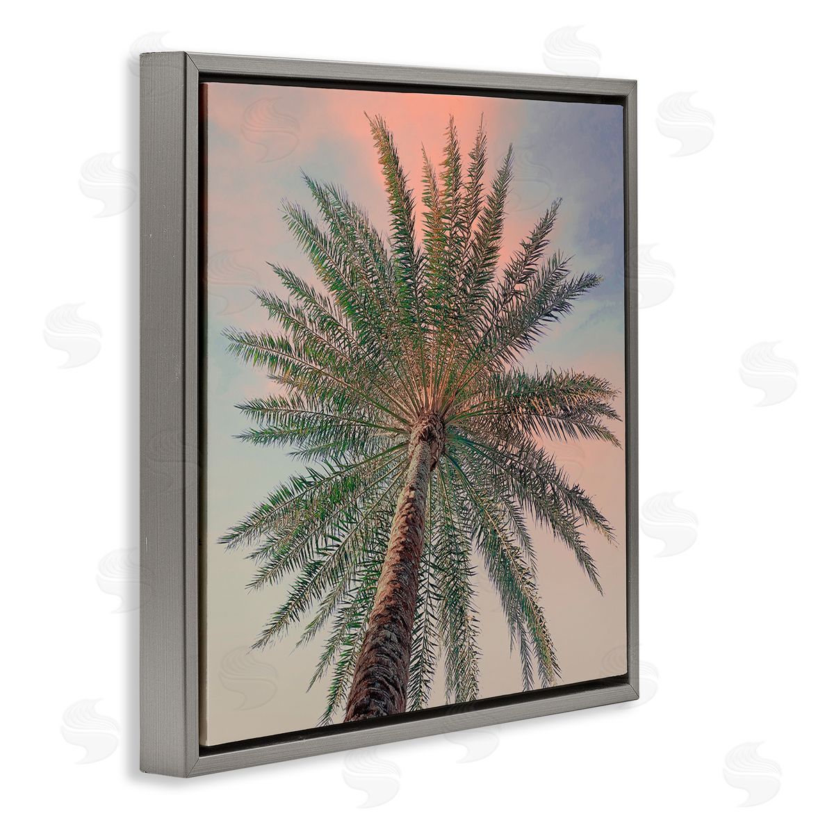 Susan Jill Palm Up Against Sunset Canvas Wall Art Print