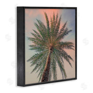 Susan Jill | Palm Up Against Sunset