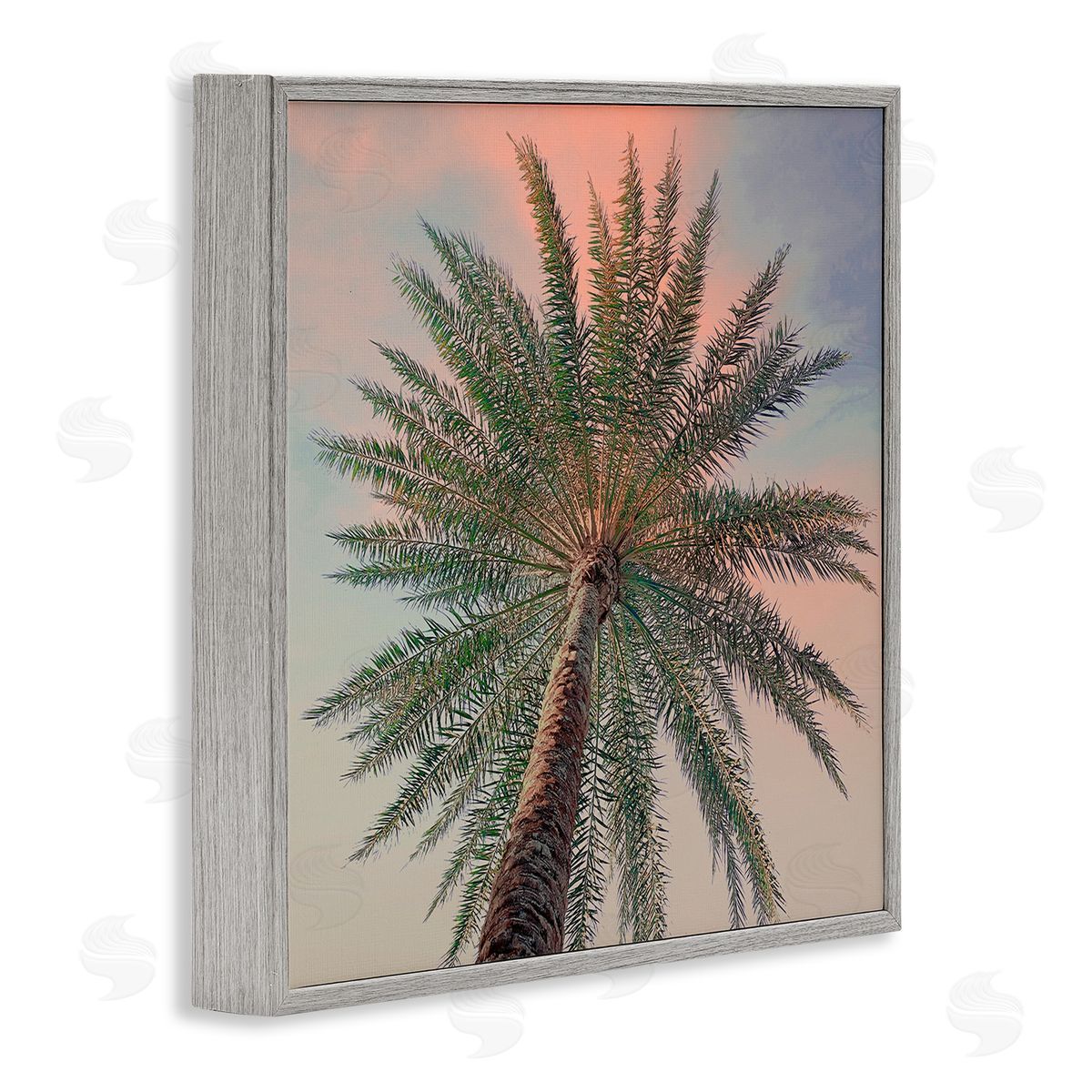 Susan Jill Palm Up Against Sunset Canvas Wall Art Print