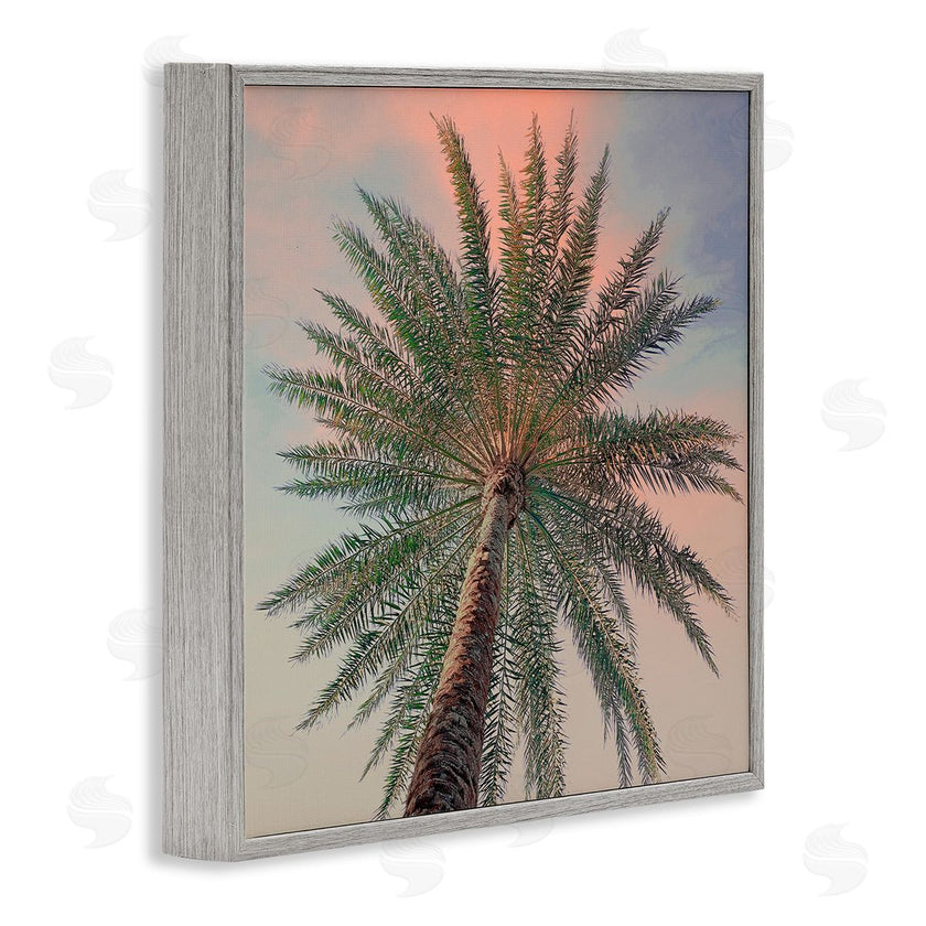 Susan Jill | Palm Up Against Sunset