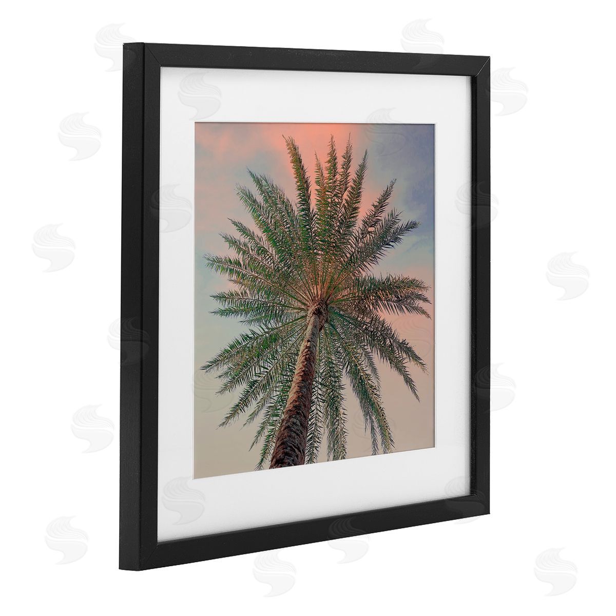 Susan Jill Palm Up Against Sunset Canvas Wall Art Print