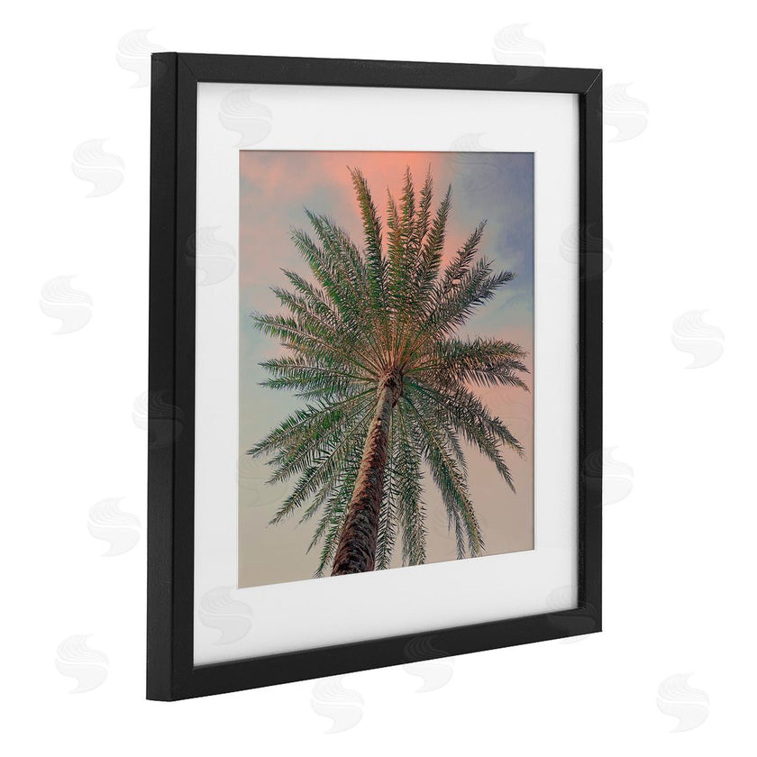 Susan Jill | Palm Up Against Sunset