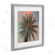Susan Jill | Palm Up Against Sunset