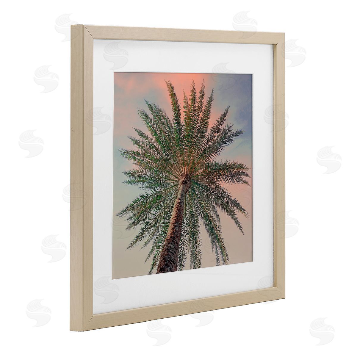 Susan Jill Palm Up Against Sunset Canvas Wall Art Print