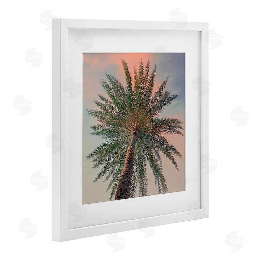 Susan Jill | Palm Up Against Sunset