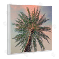 Susan Jill | Palm Up Against Sunset