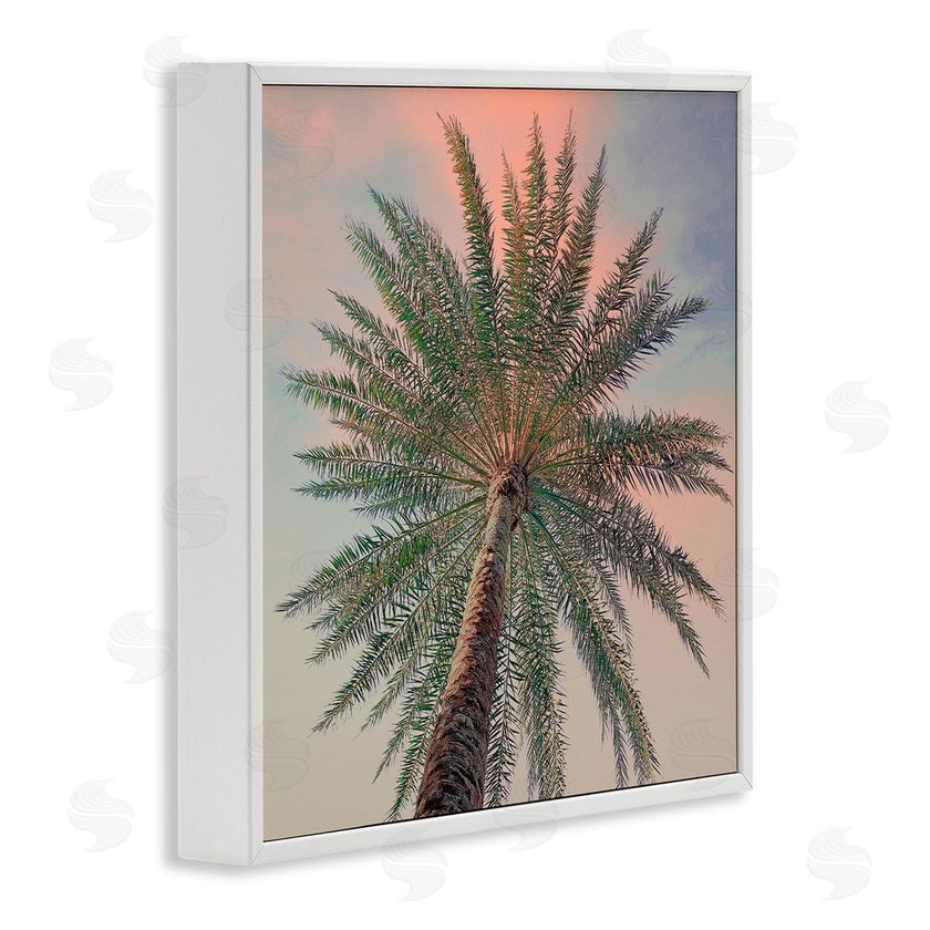 Susan Jill | Palm Up Against Sunset