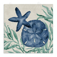 Paul Brent | Tampico Starfish & Sand Dollar