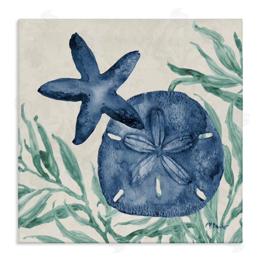 Paul Brent | Tampico Starfish & Sand Dollar