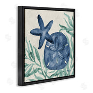 Paul Brent | Tampico Starfish & Sand Dollar