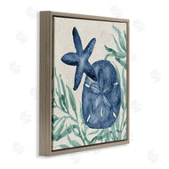 Paul Brent | Tampico Starfish & Sand Dollar