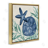 Paul Brent | Tampico Starfish & Sand Dollar