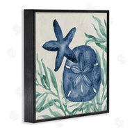 Paul Brent | Tampico Starfish & Sand Dollar