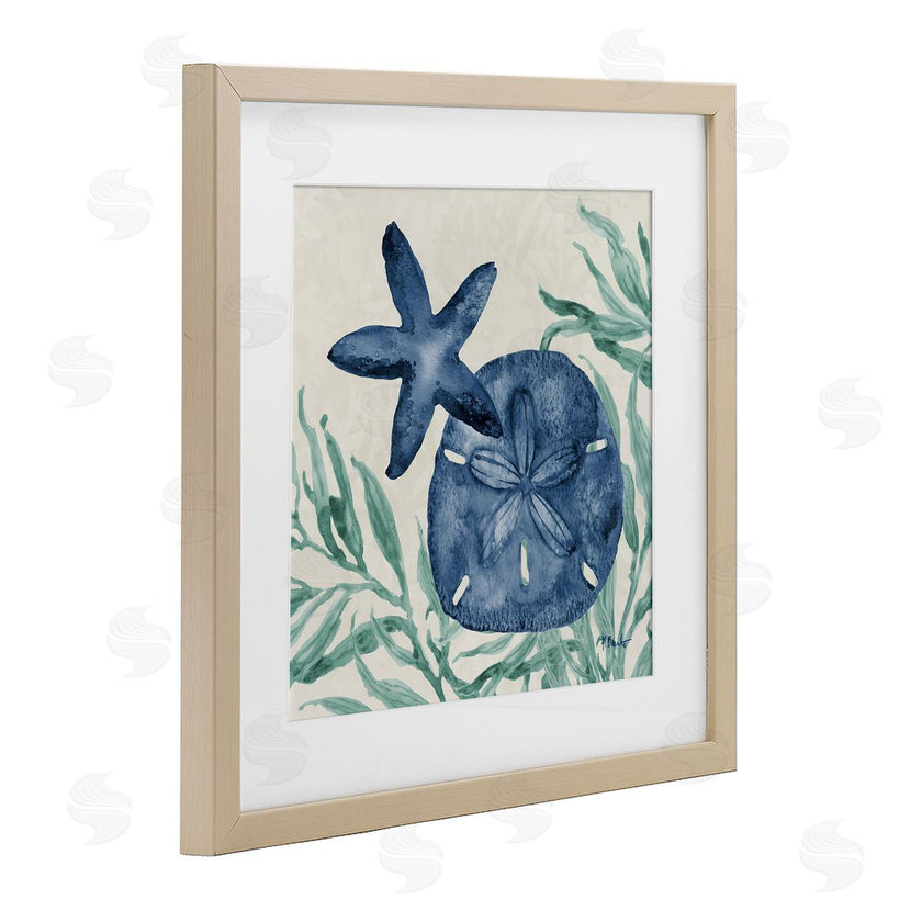 Paul Brent | Tampico Starfish & Sand Dollar