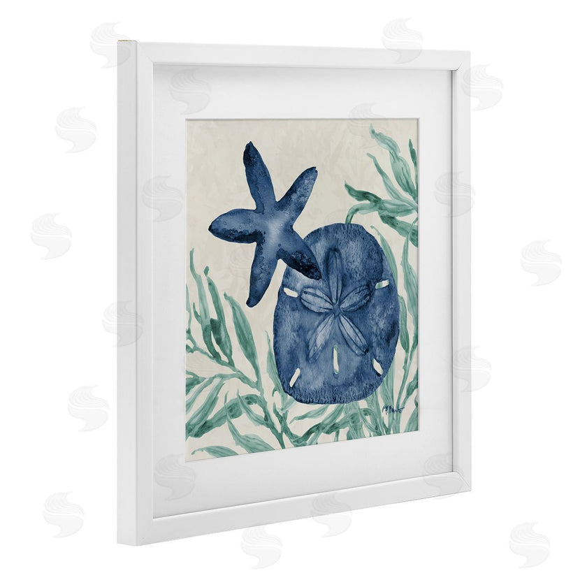 Paul Brent | Tampico Starfish & Sand Dollar