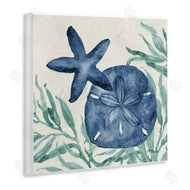 Paul Brent | Tampico Starfish & Sand Dollar