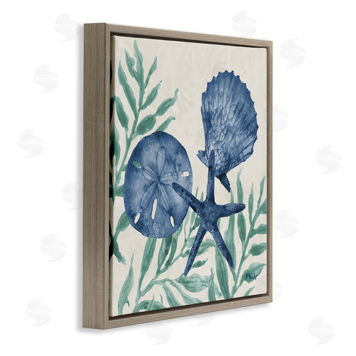 Paul Brent Maritime Tampico Shells Canvas Wall Art Print