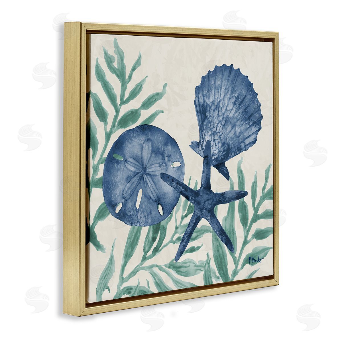Paul Brent Maritime Tampico Shells Canvas Wall Art Print