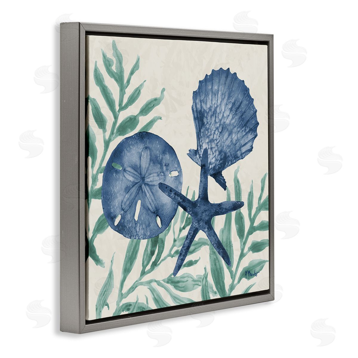 Paul Brent Maritime Tampico Shells Canvas Wall Art Print