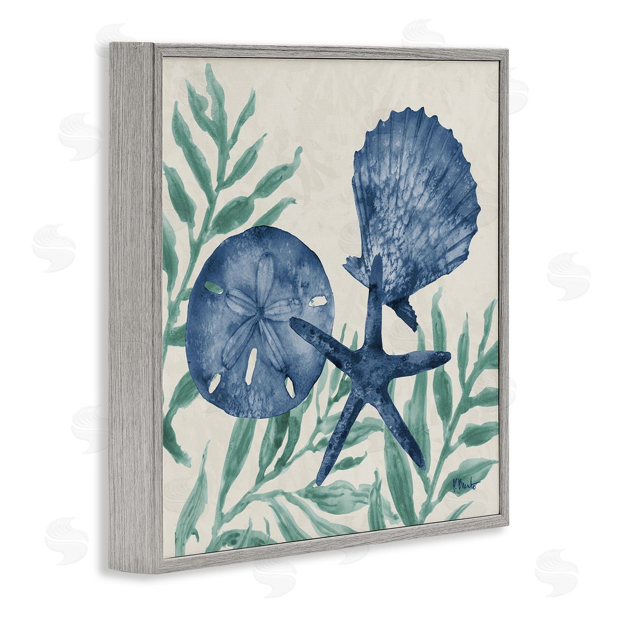 Paul Brent Maritime Tampico Shells Canvas Wall Art Print